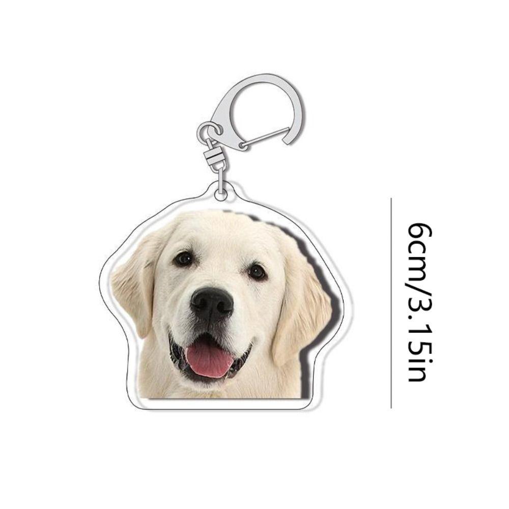 Samoyed Labrador Puppy Pendant Husky Acrylic Corgi Keyring Border Collie Dog Keychain  Unisex