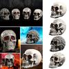 Studio Skull Head Sculpture Halloween Decoration Skull Decor Collectible Figurine Life
