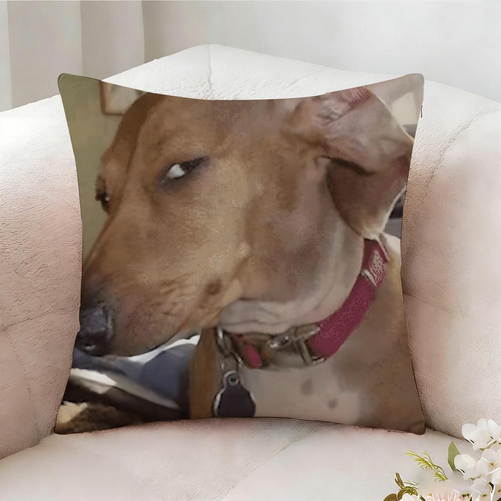 Dog Funny Meme Pillow Case Pillowcase, Double-Sided Printed, Sofa Cushion, Bedroom Headboard Pillow