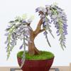 Kawada Paper Nano 360 Bonsai Wisteria PS-15, 0.7 x 12 x 17 cm, Ages 12 and Up, Paper Craft Kit, Miniature Kit, Interior Design, PS-15