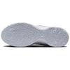 Nike Zoom LeBron Nxxt Gen Ampd 'Белый Серебристый' FJ1566-102