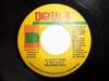 7inch Record FRANKIE PAUL - Quality Time NONE Digital-B 2004 Jamaica Reggae, Ska & Dub Used