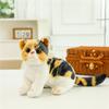 Simulated Cat Doll Creative Plush Toy Children'S Soothing Rag Doll Pet Cat Doll