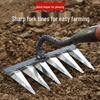 Dual-Use Reinforced Multi-Tooth Hoe and Rake for Soil Loosening and Weeding
