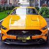 Комплект переднего сплиттера и губы из углеродного волокна для Ford Mustang 18-22