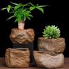 Stone Shape Succulent Plant Pots Wear Resistant Plants Growing Container  Home Decoration