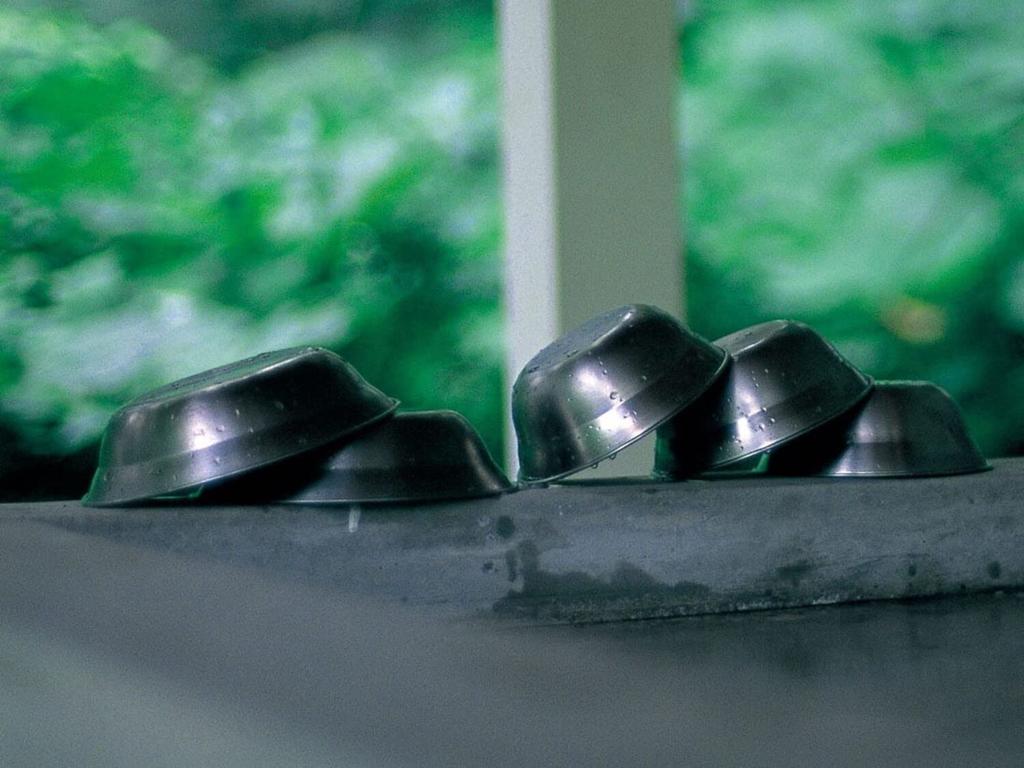 Snow Peak SP Tableware Нержавеющая сталь Большая миска, Сталь, TW-031,