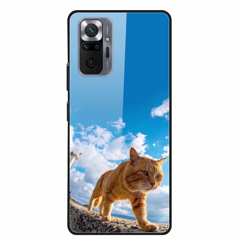 Цветная закаленная стеклянная крышка для чехла Xiaomi Redmi Note 10 Pro, жесткий противоударный Funda для чехлов Redmi Note10 / Note 10Pro, корпус