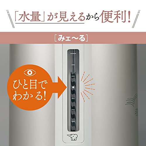 ZOJIRUSHI Zojirushi Стеклянный воздушный горшок Graceful Flower AB-RY22-FZ 2.2L