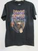 LYNYRD SKYNYRD ОФИЦИАЛЬНЫЙ МЕРЧ ОРЕЛ И ФЛАГ ГРУППА КОНЦЕРТ МУЗЫКА СРЕДНИЙ Размер Унисекс Футболка
