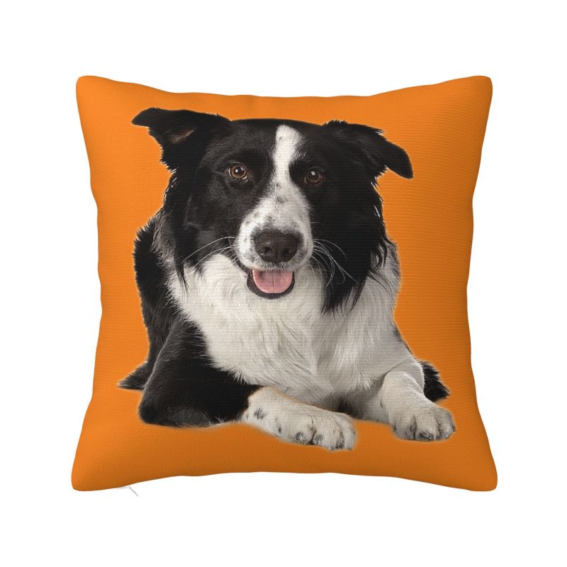 Lovely Pug Dog Modern Throw Pillow Cover Decoration Cushions for Sofa