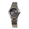Solar Titanium Watch 10 ATM Water Resistant Silver [Mauro Gerardi] MJ040-1