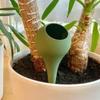 Plant Watering Ball Narrow Outlet Long Spout, Extended Drip Time for Indoor and Outdoor Plants Root Watering Tool