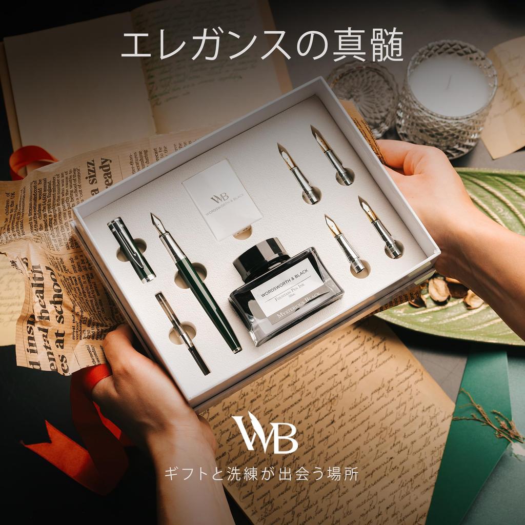 Чернила для авторучки Wordsworth Black, подарочные, 6 стержней для чернил, 4 сменных пера, ручка Premium Smooth Writing Pen & Set, флакон, картриджи, конвертер, перья,