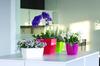 Coubi round flowerpot with saucer, graphite, 155x142cm