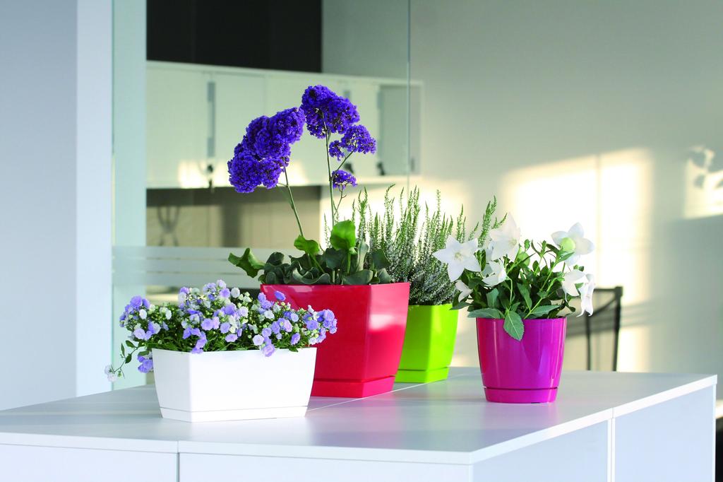 Coubi round flowerpot with saucer, graphite, 155x142cm
