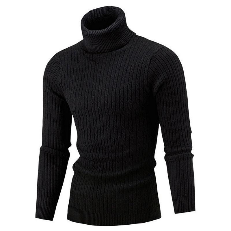 Men Slim Fit Twisted Pattern Turtleneck Knit Sweater For Autumn Winter
