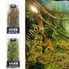 Scenery Fairy Garden Long Leaf Grass Cluster Micro Landscape Sand Table Vegetation Miniature Reed