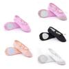 5 colors Ballet Dance Shoes Soft Sole Adult Dance Slippers Ballerina Shoes  for Women