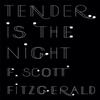 Tender Is the Night by F. Scott Fitzgerald Paperback Book 9781409149552