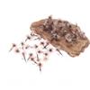 6PCS Grizzly Brown Hackle Adams Lrresistible Dry Fly May Fly Midge Fly Mosquito Fly Pike Bass Trout Fishing Lures Baits