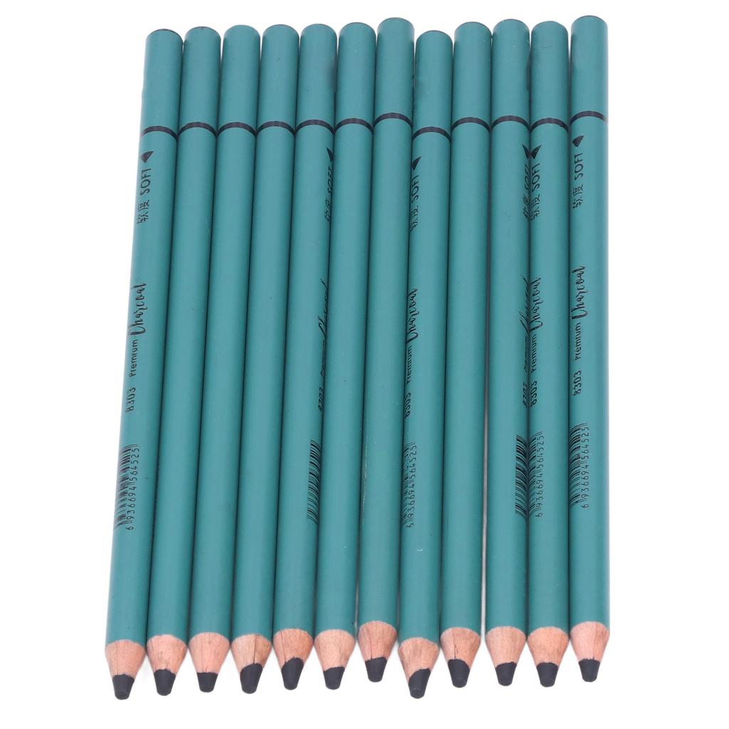 12Pcs Charcoal Pencils Flexible Write Smoothly Easy To Use Charcole Art Supply for Detailed Drawing