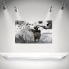 Kkatatonias Flag Rock Music Band Banner   Hd Printing Tapestry Exhibition Music Band Fans Garage Decor