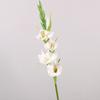 Real Touch Simulation Gladiolus Flower Floral Art Fake Flowers  Bedroom Decoration