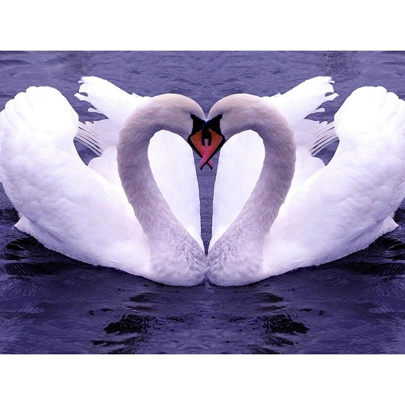 Новый 5D DIY алмазная живопись Лебедь Алмазная вышивка Лебединое озеро вышивка крестиком полная квадратная круглая дрель домашний декор ручной художественный подарок