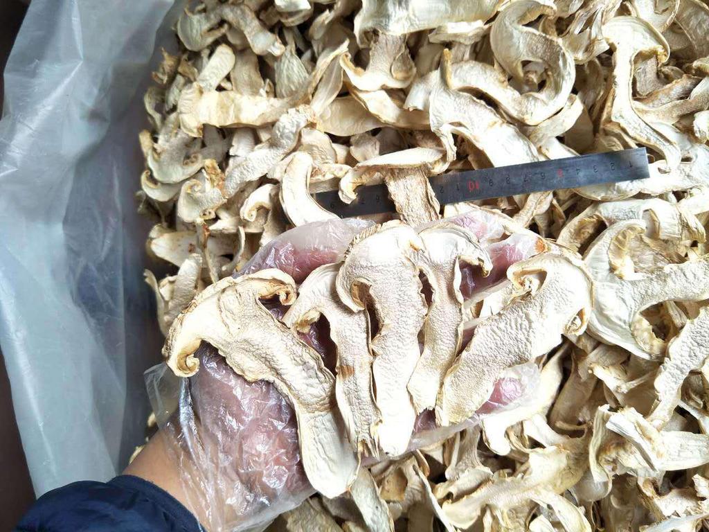 Wild Shangri-La Matsutake Mushroom Slices - Dried Gourmet Delight