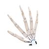 Halloween Flexible Joint Hand Tools Funny, Novel And Interesting Toys
