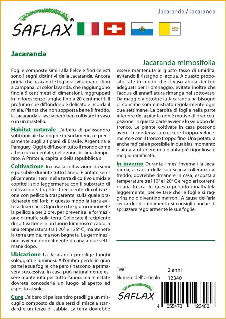 SAFLAX Jacaranda - 50 семян - С горшечным субстратом для лучшего выращивания - Jacaranda mimosifolia