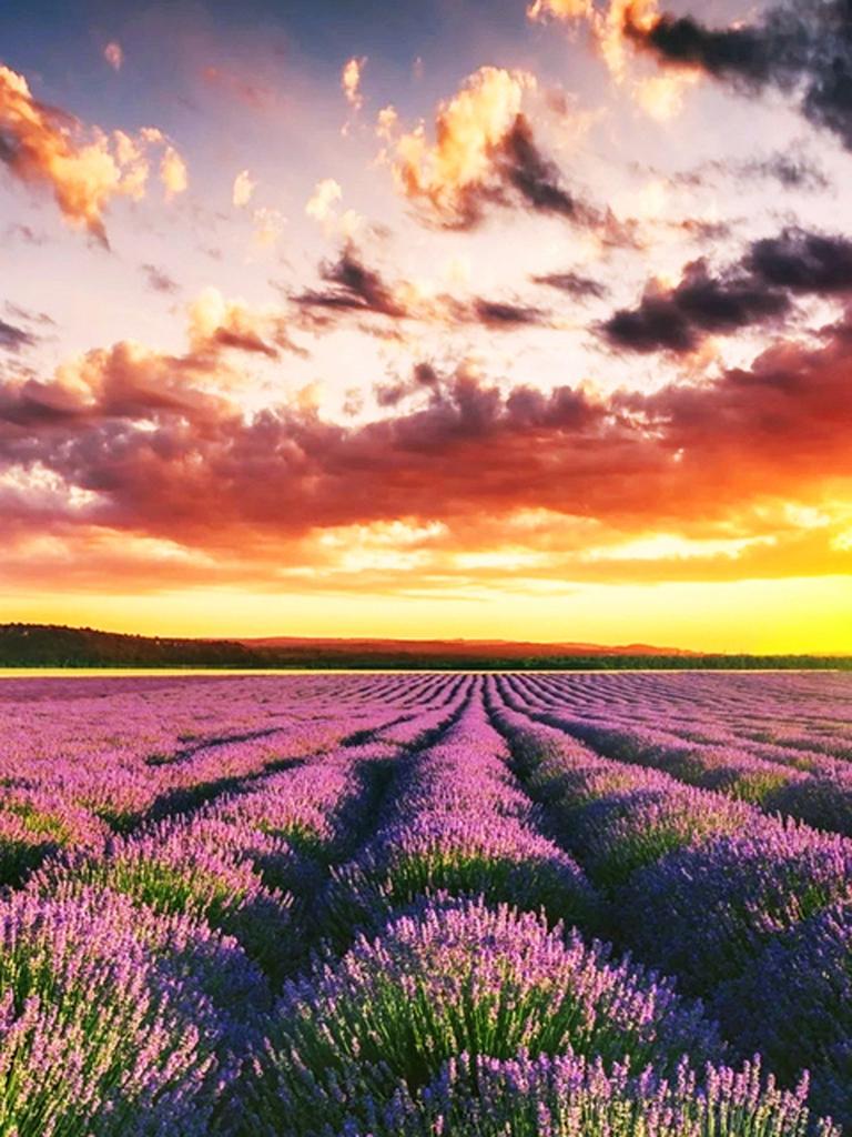 Круглая алмазная вышивка «сделай сам», пейзаж, цветок, море, 5D алмазная живопись, вышивка крестиком, лавандовая мозаика, украшение дома, подарок на Новый год