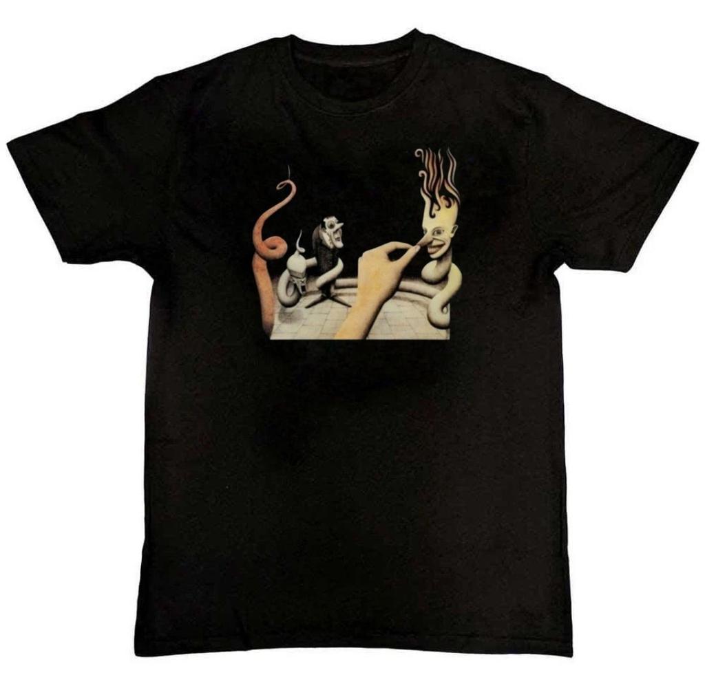 THE CHAMELEONS STRANGE TIMES Graphic Print Mens T-Shirt S-4XL