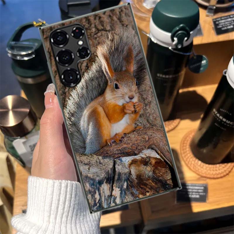 Лесные белки, ищущие еду Чехол для Samsung S23 S22 Ultra S24 FE S25 Edge Phone Galaxy S21 S20 FE S10 Plus Чехол Роскошный