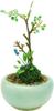 PLATZ THE BONSAI Круглый горшок для бонсай, масштаб 1/12 (Светло-синий) Готовый продукт BONN05