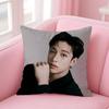 Cool Hot Kpop SStray kidsS Pillow Case Antidustmite Pillowcase Invisible zipper silky short plush Sofa cushion cover