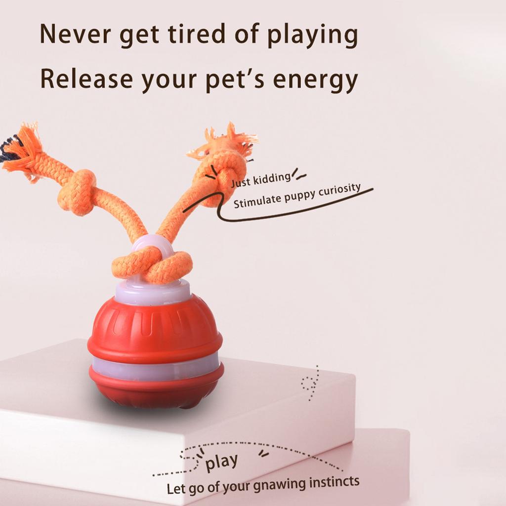 Интерактивные игрушки для собак, новые игрушки для собак с пищалкой, активный катящийся мяч для щенков и средних собак, перезаряжаемый через USB