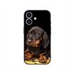 Phone Cover for Samsung Galaxy A07 A13 A12 A14 A23 A42 A50 A51 A52 A53 A70 A71 A72 A21S A04 Note 20 9 8 10 Case Dachshund Dog
