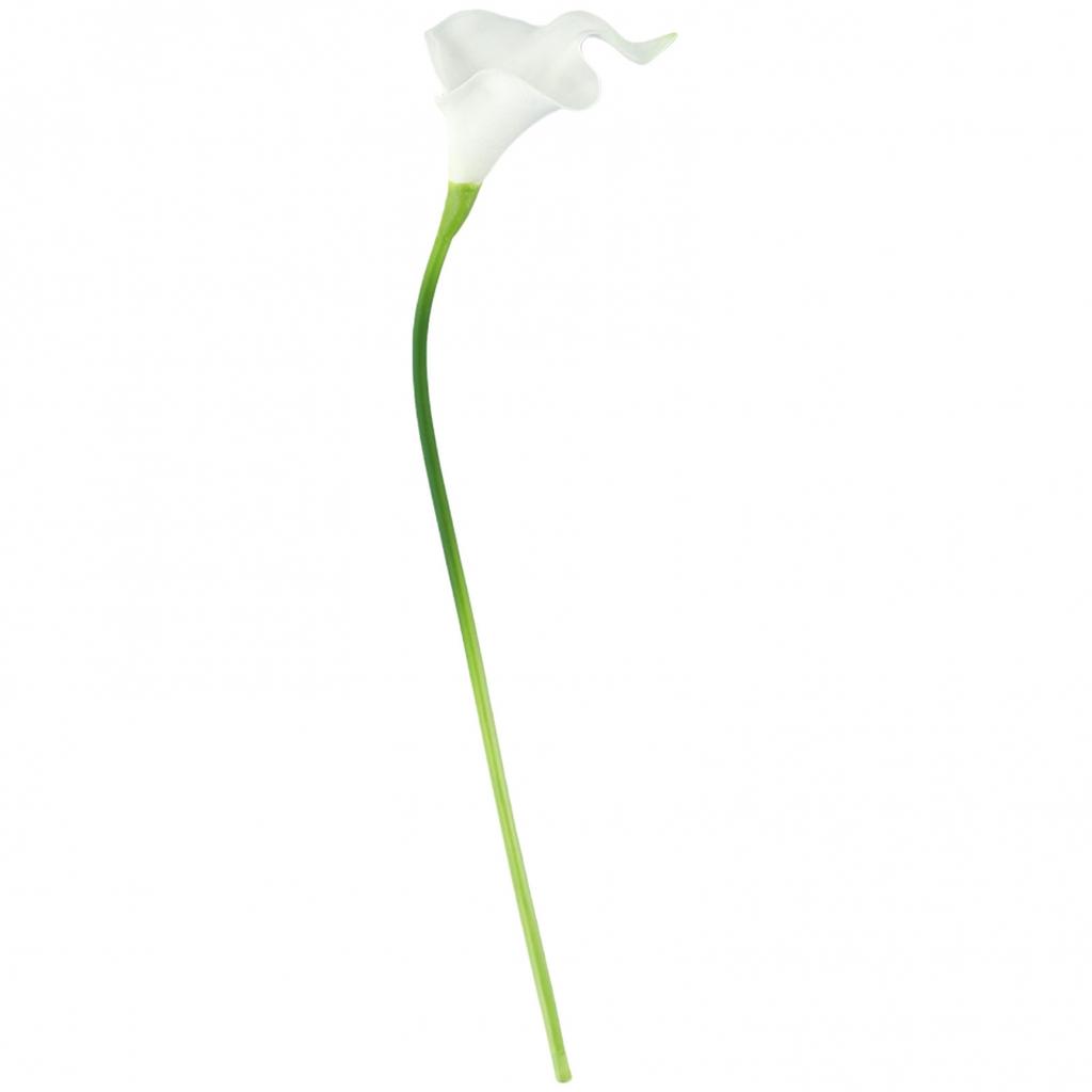 Фотография Искусственный цветок Моющийся Рождественское украшение В помещении На открытом воздухе