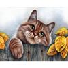 Full 5D Diy Diamond Painting Crooked Kitten Diamond Embroidery Full Lay Cross Stitch Home Decor Handmade Gift
