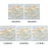 Cute A-class baby cotton antibacterial crotch mid waist women's underwear with cute little puppy