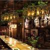 Loft Bird Lamp Vintage Подвесной светильник Iron Industrial Living Room Restaurant Decoration Подвесной светильник Современная люстра