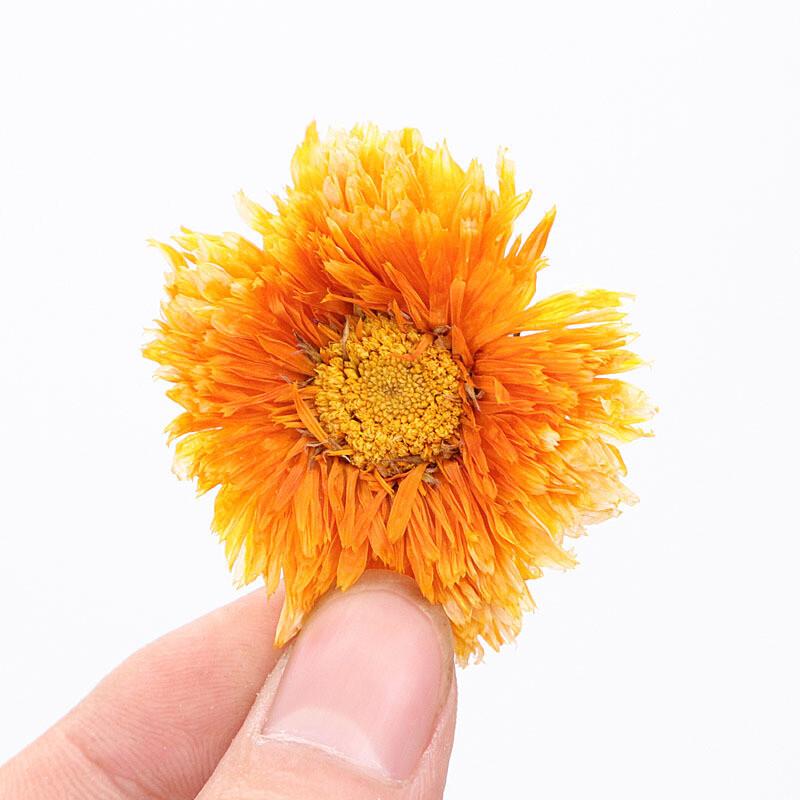Calendula Marigold Flower Select Tea Organic Chinese Herbal Tea Dried Loose