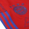 Adidas Мужские тренировочные брюки X Pharrell Williams Fc Bayern, красные GK7838