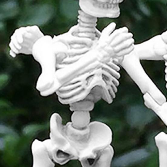 Хэллоуин Скелет Фигурка Подвижные Сочленения Человеческая Модель Скелет Статуя Скульптуры Домашний Офис Настольное Украшение Орнамент