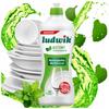 Ludwik Do Mycia Naczyń 500 Ml /450G Mięta