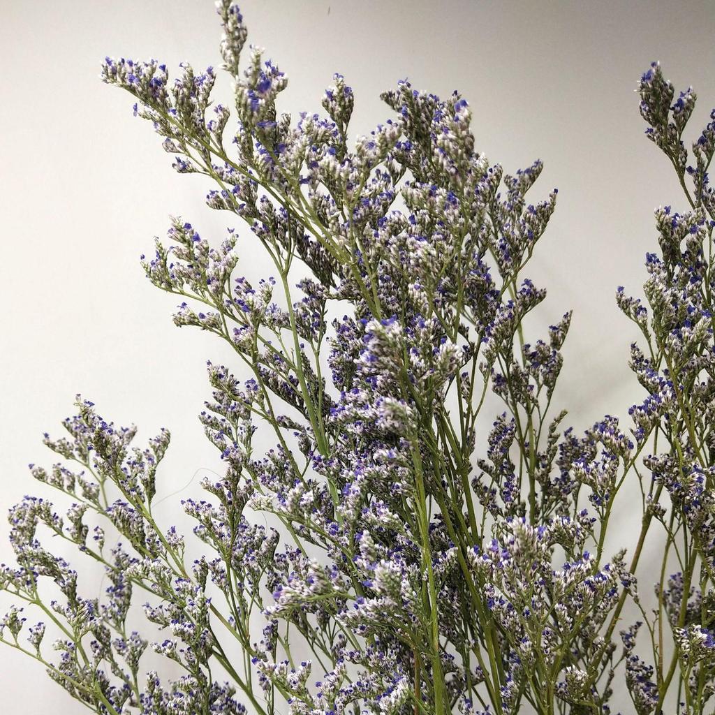 Natural Dried Love-in-a-Mist Flower Bouquets with Grass for Home Décor