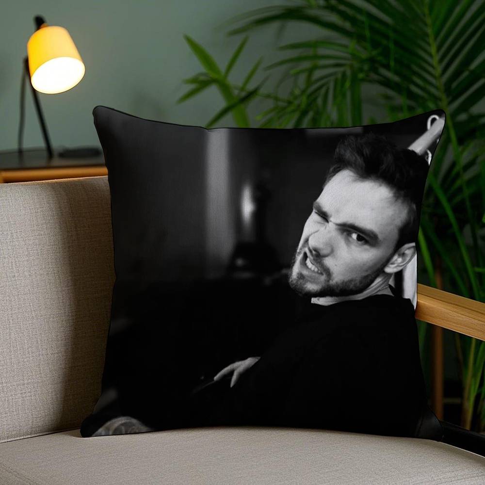 Наволочка Singer L_Liam Payne Диванная Короткий Плюш Двусторонняя HD Печать Комната Домашний Офис Подарок Чехол для Подушки