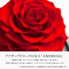 Amorosa Modernный Стабилизированный Цветок Роза Судьбы Ярко-Красный (Один стебель)